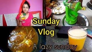 SUNDAY VLOG || A LAZY SUNDAY || DAILY VLOGS || OMLETTE CURRY|| Nini and Jiya Daily Vlogs ||