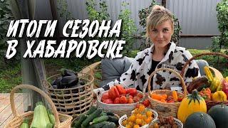 ИТОГИ ОГОРОДНОГО СЕЗОНА В ХАБАРОВСКЕ | Сложности в огороде в 2024 году