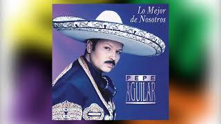 Salado - Pepe Aguilar del álbum Lo Mejor De Nosotros