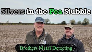 Silvers in the Pea stubble | Brothers Metal Detecting