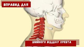 БОЛИТЬ ШИЯ? ЦИМИ ВПРАВАМИ ТИ ВИЛІКУЄШ ШИЙНИЙ ВІДДІЛ