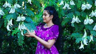 Hummingbird Flower recipes!  I cook (kathurumurunga) Delicious & Traditional Sri Lankan Dishes
