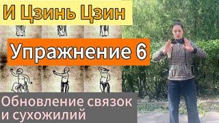 И Цзинь Цзин. Шестое движение.«Расправить крылья, выпустить когти». Дарья Патока. Урок3