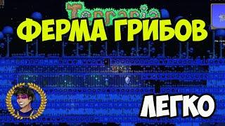 Террария ФЕРМА ГРИБОВ (2024) | Террария Ферма Грибов (ЛЮБОЙ БИОМ) | Террария 1.4.4.x