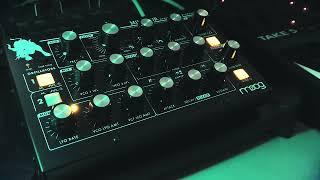 More Than Bass | Moog Minitaur Melodic Patches