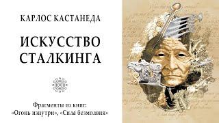 Искусство сталкинга / Карлос Кастанеда. Учение Дона Хуана. Огонь изнутри, Сила безмолвия