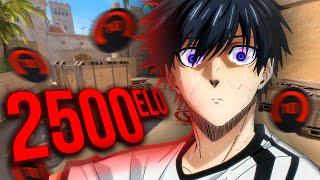 ЗАШЁЛ на 2500 ELO СПУСТЯ 2 ГОДА на 10 LVL FACEIT в CS2