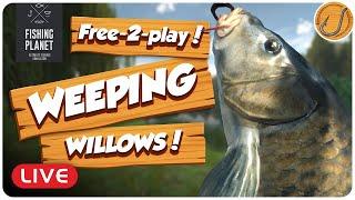 Catching MONSTER Carp (Free-2-play!) | Fishing Planet [LIVE]