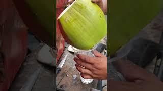 The Science of Coconut Cutting Knife Sharpness