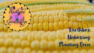 Earthbox Unboxing l Planting Corn