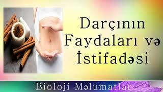 Darçının Sağlamlıq Faydaları və İstifadəsi