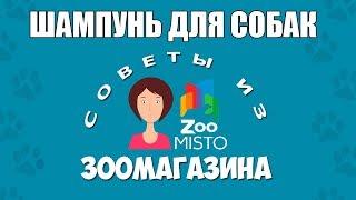 Шампунь для собак | Как правильно выбрать шампунь для собак | Виды шампуней | Советы из зоомагазина