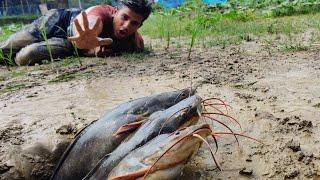 Unique Fishing | Boy Catching Experience Amazing Dry Place River Deep Underground fish