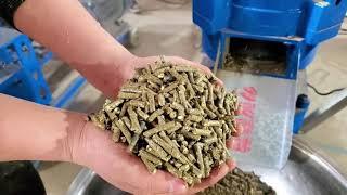 small chicken sheep cattle feed pellet machine plant for sale