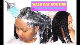 SIMPLE WASH DAY ROUTINE | FINE NATURAL HAIR| *3c-4a hair