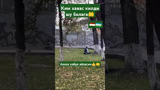 ОБУНА БУЛИНГ‍️‍️ #той