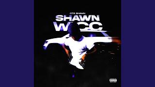 Mr. Shawn Wicc