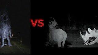 Unnatural Habitat Rhinoceros vs Costume Man Stick nodes