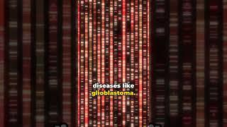 Deciphering Life's Timeline: The Zman-seq Revolution #science #chemistry #medicine #dna #health #fyp