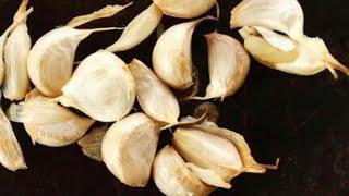 Scattering enemy plans with garlic and cloves @Easy-Solutionz