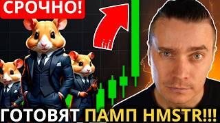 ПАМП НЕИЗБЕЖЕН! ️ HAMSTER KOMBAT 🟢 ЭТОТ РОСТ УДИВИТ ВСЕХ! HMSTR СИНХРОНИЗИРОВАН С РЫНКОМ! НЕ УПУСТИ