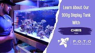 POTO 300-Gallon Acro Growing Display Tank