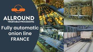 Fully automatic onion line | FDA | France | Allround Vegetable Processing