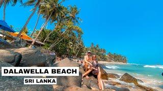 Discover the Charm of Dalawella Beach Sri Lanka | Beaches in Sri Lanka | Things To Do in Sri Lanka