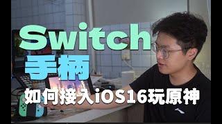 用Switch手柄在iOS上玩原神？