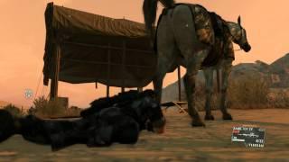 MGSV D horse poop