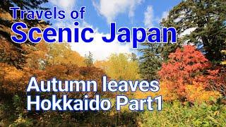 【409】Wonderful autumn leaves / Travels of Scenic Japan / Tabiator