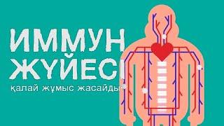 ИММУНДЫҚ ЖҮЙЕ ҚАЛАЙ ЖҰМЫС ЖАСАЙДЫ? | TedEd