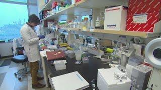 Doctors, Survivors Encouraged By President Obama’s Push To Cure Cancer