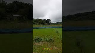 A rainy day weather .#video #viral shots ,#shots, #reels#viralreels#india@gdsbishu2966 #rain #song