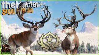 The First 2 Great One Mule Deer Revealed! Snowfall Update Patch Notes & More! Call of the wild