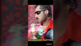 цыгане на программе "давай поженимся"