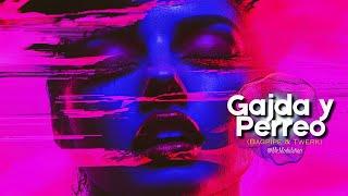  "Gajda y Perreo" (Bagpipe & Twerk) – The Ultimate Balkan-Reggaeton Fusion 