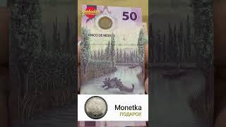 Какие банкноты в подарок я получил от Сергея канал Monetka. 20 и 50 песо Мексика полимер 2021 г.