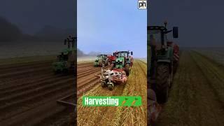 Harvesting Carrots  3 John Deere Tractors Working In The Field #agri