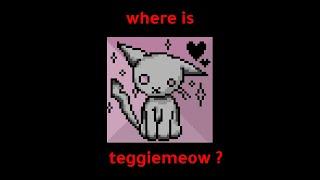 where is teggiemeow ?