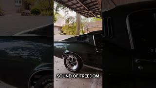 1967 Ford Mustang Fastback GT: The Collector's Dream Muscle Car!