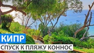 Кипр. Спуск к красивому пляжу Коннос из отеля Grecian Park Hotel