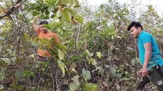 jungle me mangal mishika family vlogs #adventure  #viral #trending #youtubevideo