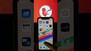 BitLife Mod iOS & Android - How to get and play