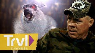 Hunting Devil Dogs in West Virginia Forests | Mountain Monsters | Travel Channel