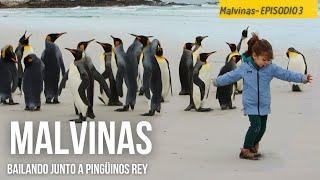 Itinerario en auto a  MALVINAS. Ver PINGÜINOS REY, playas y dormir en Estancias