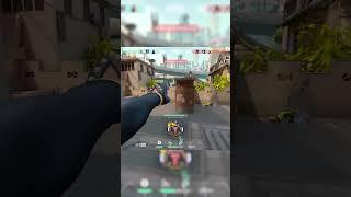 sus aim