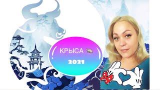 Год Быка 2021 КРЫСА