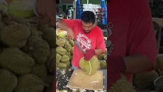 Amazing! Fruit Cutting Master - A Thai man cuts a durian to make durian chips