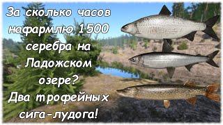 Русская рыбалка 4 Ладожское озеро. За сколько часов нафармлю 1500 серебра? Два трофейных сига-лудога